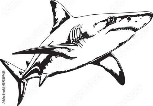 Shark in Ocean: A monochrome illustration of a shark, a powerful and majestic creature of the deep sea. Capturing its sleek form and predatory gaze.