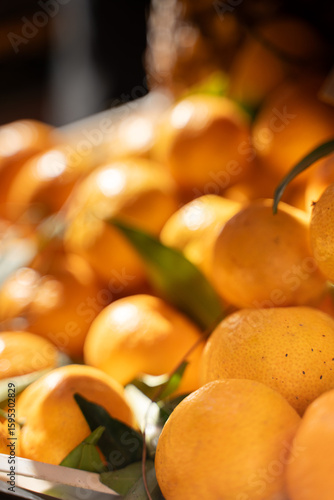 Fresh oranges with leaves in sunlight.
