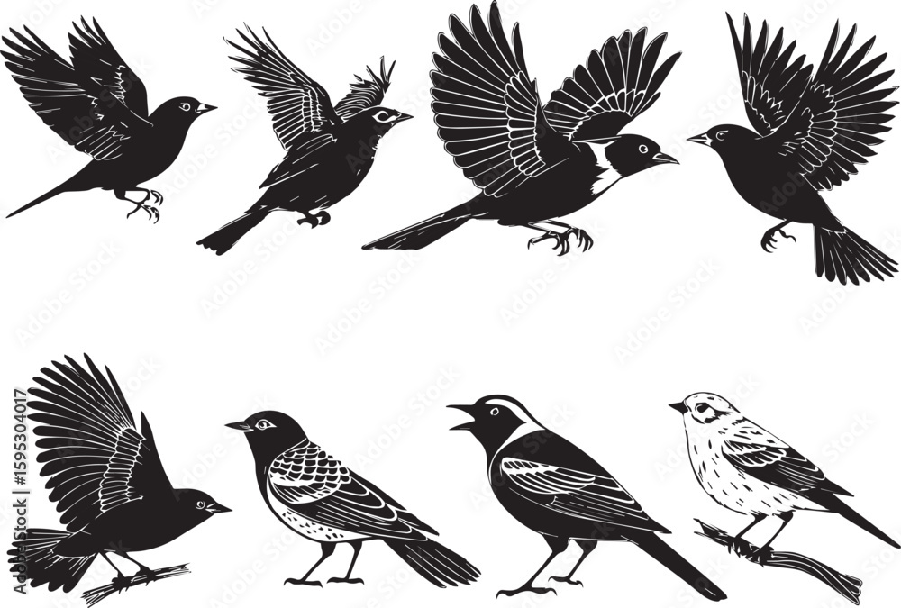 Fototapeta premium set of birds
