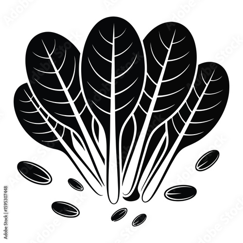 Black silhouette of spinach leaves and oval seeds on white background greens salad