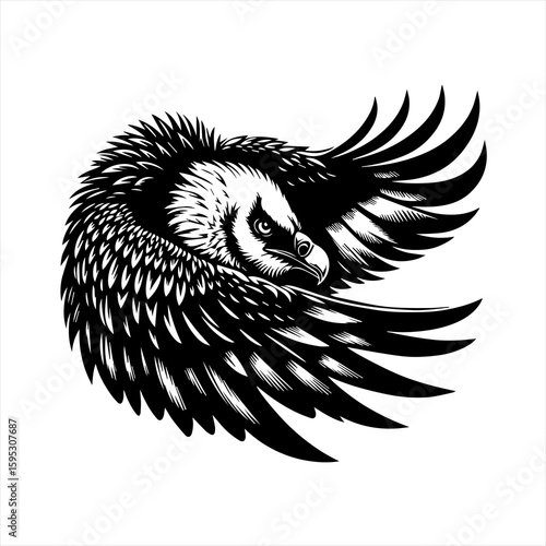 Vulture with spread wings