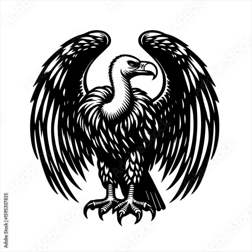 Vulture with spread wings