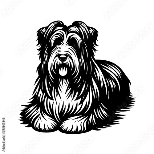 A fluffy dog lying down