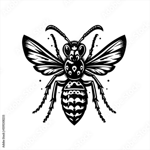 Wasp insect on white background