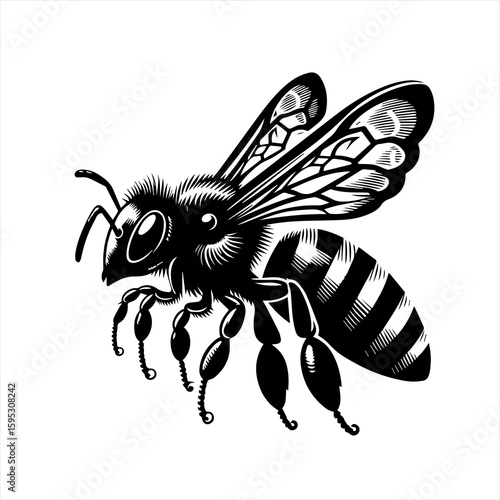 Bee flying on white background