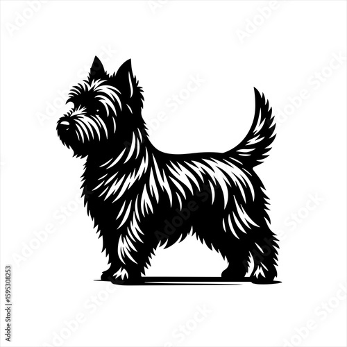Black scottish terrier dog