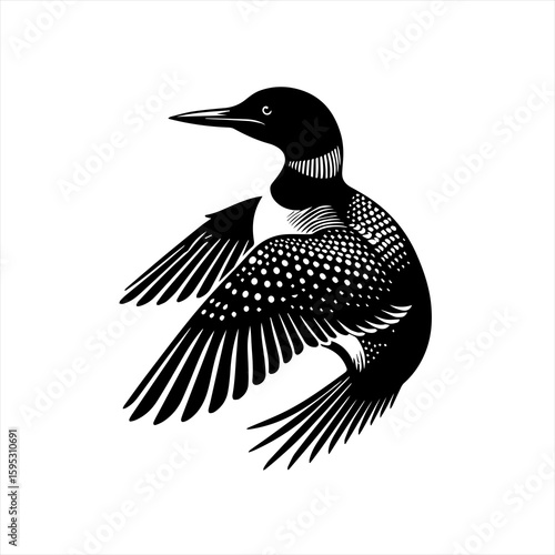 Loon bird with wings spread