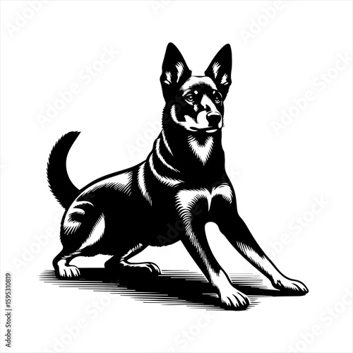 Dog sitting illustration isolated on white