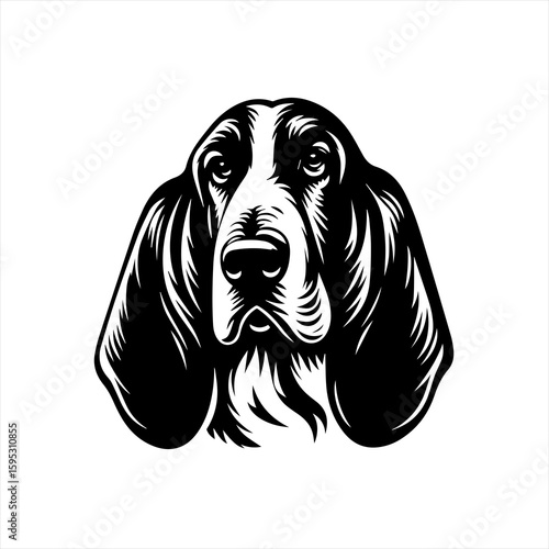 Basset hound dog head illustration
