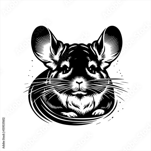 Stylized chinchilla illustration