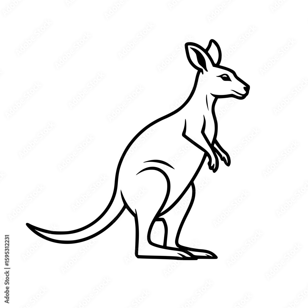 kangaroo vector illustration kangaroo vector illustration