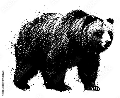 Powerful Grizzly Bear Full Body Standing View Black and White Drip Splat Abstract Art Illustration