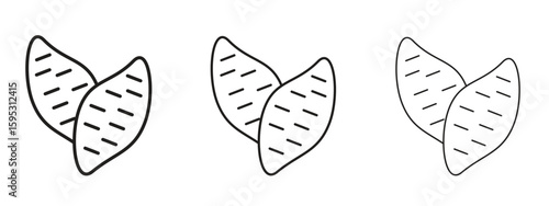 Sweet potato icon in stroke art design versions. EPS 10