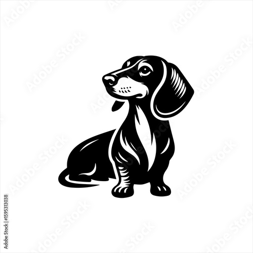 Dachshund dog sitting