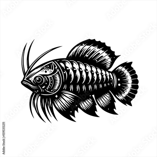 Detailed fish illustration on white