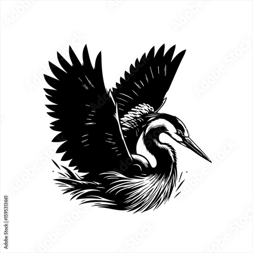 Heron with wings spread wide