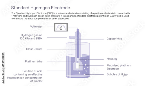 Assigned a standard electrode potential. The standard Hydrogen Electrode reference consisting of a platinum electrode in contact with 1MH plus ions and hydrogen Vector illustration.Pressure electrodes