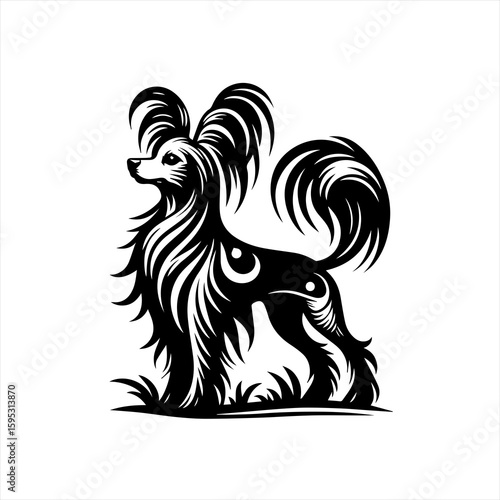 Chinese crested dog standing proudly