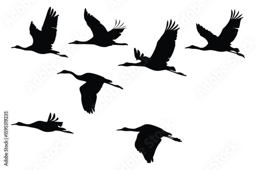 set of silhouettes of birds
