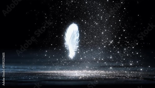 Delicate Feather with Sparkling Dust (1)
