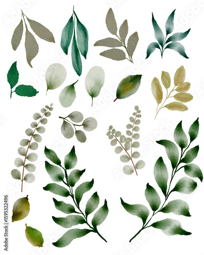 Watercolor leaves set