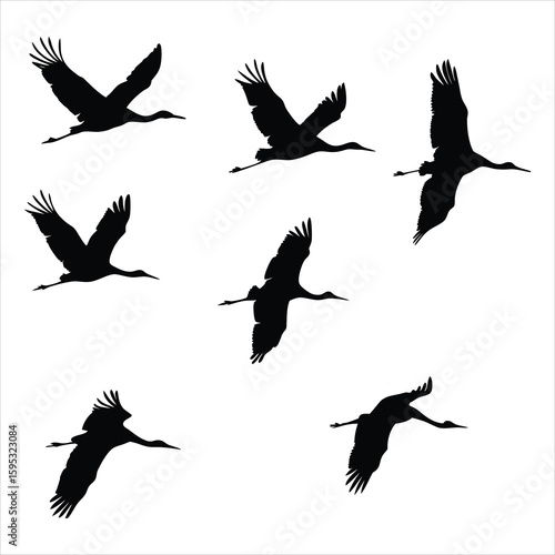 silhouettes of birds