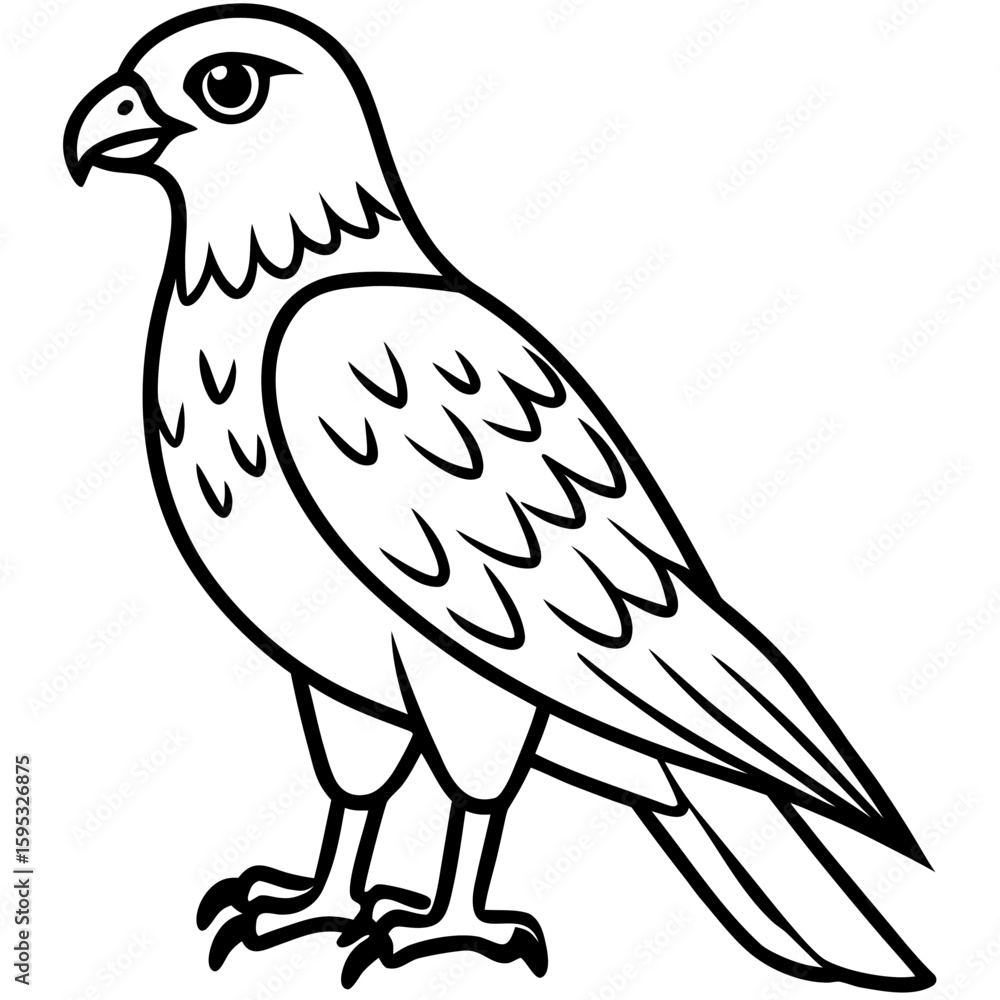 Common Buzzard Silhouette Vector Common Buzzard Silhouette Vector