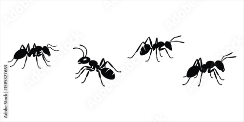ant silhouette vector set hand drawn illustration on white background. ant icon set.