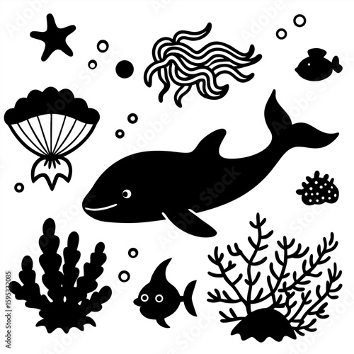 
Different types of sea animals
