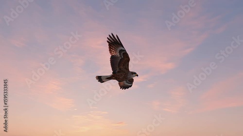 Wallpaper Mural Soothing Ambient Footage for Mindfulness and Calm Torontodigital.ca