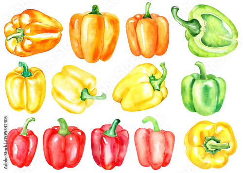 Watercolor illustration set of fresh whole and half red, yellow, green, and orange bell peppers isolated on white background