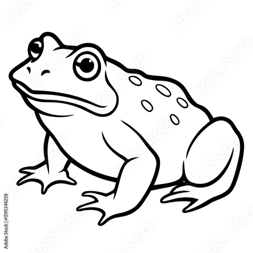 Common Toad Vector Illustration