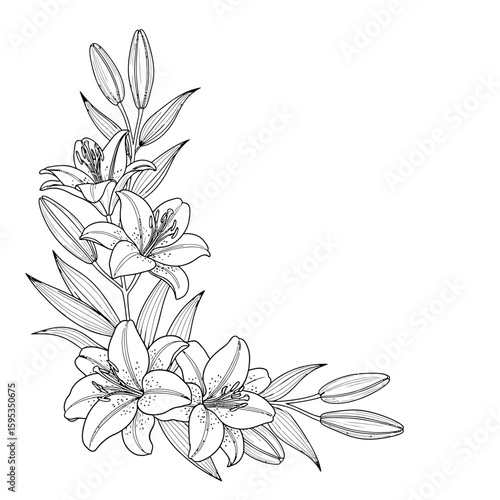 Corner floral arrangement of lilies and leaves in detailed line drawing
