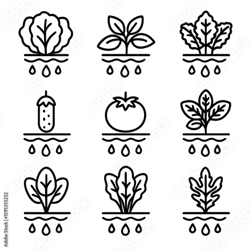 Basil crop vector aquaponics no set icon kale icons tomato detailed grid