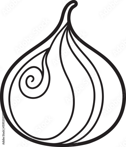 onion vector illustration