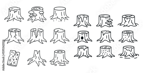 Series of tree trunks with one of them having a hole in it. The trunks are all different sizes and shapes