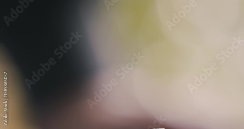 Hammering a nail into a piece of wood close up