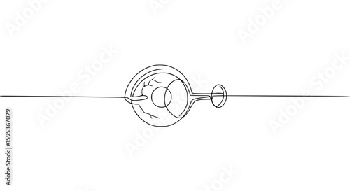 Diagram of the structure of the eye and a rigid orthokeratology contact lens in the form of a single-line contour