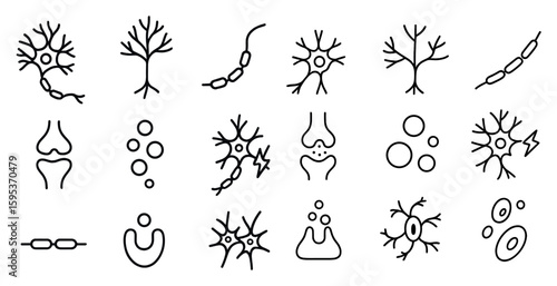Set of black and white drawings of various body parts and organs. The drawings are stylized and appear to be related to the human body