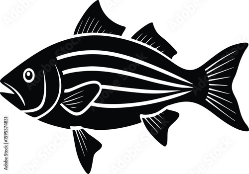 Striped Bass Silhouette Vector Art Illustration