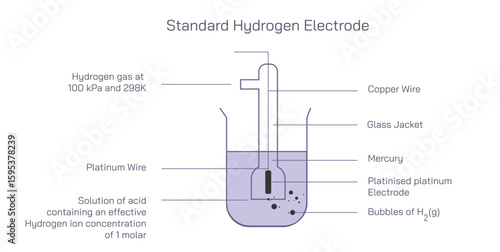 Assigned a standard electrode potential. The standard Hydrogen Electrode reference consisting of a platinum electrode in contact with 1MH plus ions and hydrogen Vector illustration.Pressure electrodes