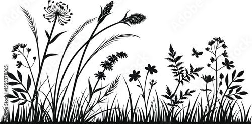 Botanical Silhouette Vector Pack – Detailed Wild Grasses, Herbs & Flowering Plants for Nature Illustrations