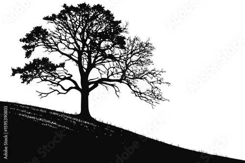  a lone tree on a hill, dramatic lighting, minimalist landscape, moody atmosphere, black and white, cinematic, hyper-realistic, 8k
