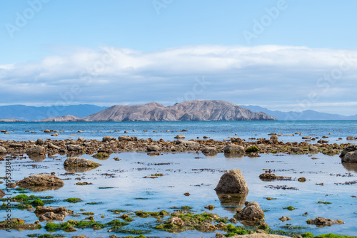 bahia de los angeles