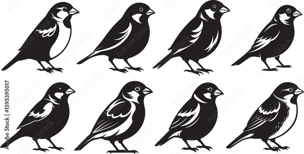 Fototapeta premium set of house sparrow silhouette, black and white silhouette, vector and illustration