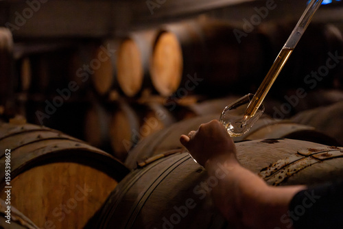 Gros plan sur les mains d’un homme prélevant du champagne avec une pipette dans un tonneau en cave, pour le déguster dans un verre.