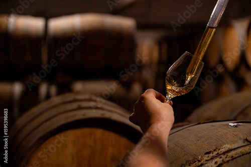 Photos Gros plan sur les mains d’un homme prélevant du champagne avec une pipette dans un tonneau en cave, pour le déguster dans un verre