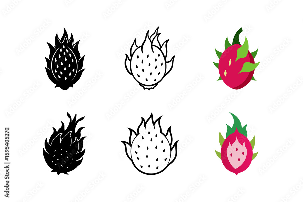 Obraz premium Set of Dragon fruits silhouette vector ,line art illustration