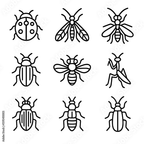 Text icons vector insect icon aquaponics rove isolated no bubbles typography uniform