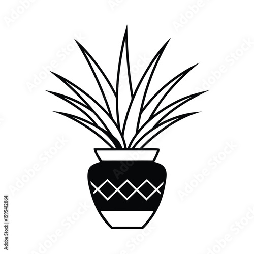 Yucca Planted in an Ancient Pot Design